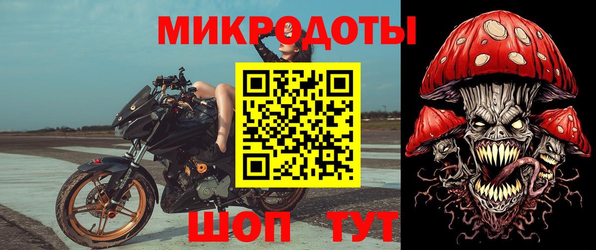 Галлюциногенные грибы Psilocybine cubensis Заинск